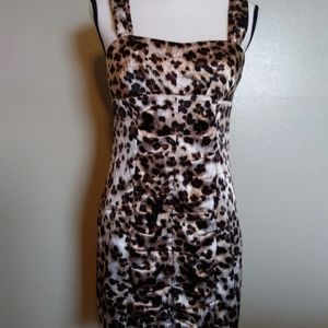 BCX animal print dress